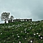 Valle Sacra, cascina e fiori (Foto A. Corrà) 
